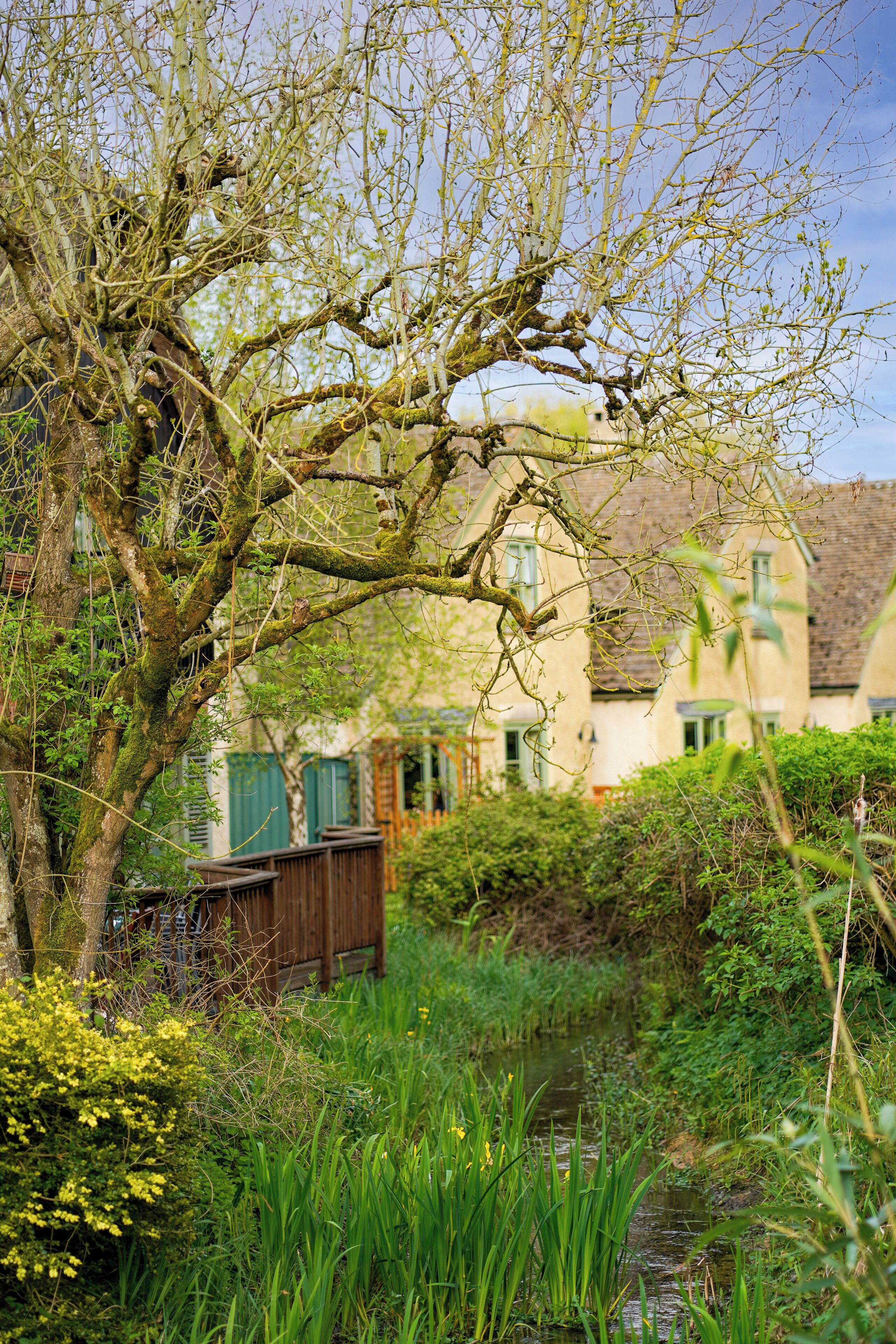 A house with a garden, a pond, and a tree with moss.