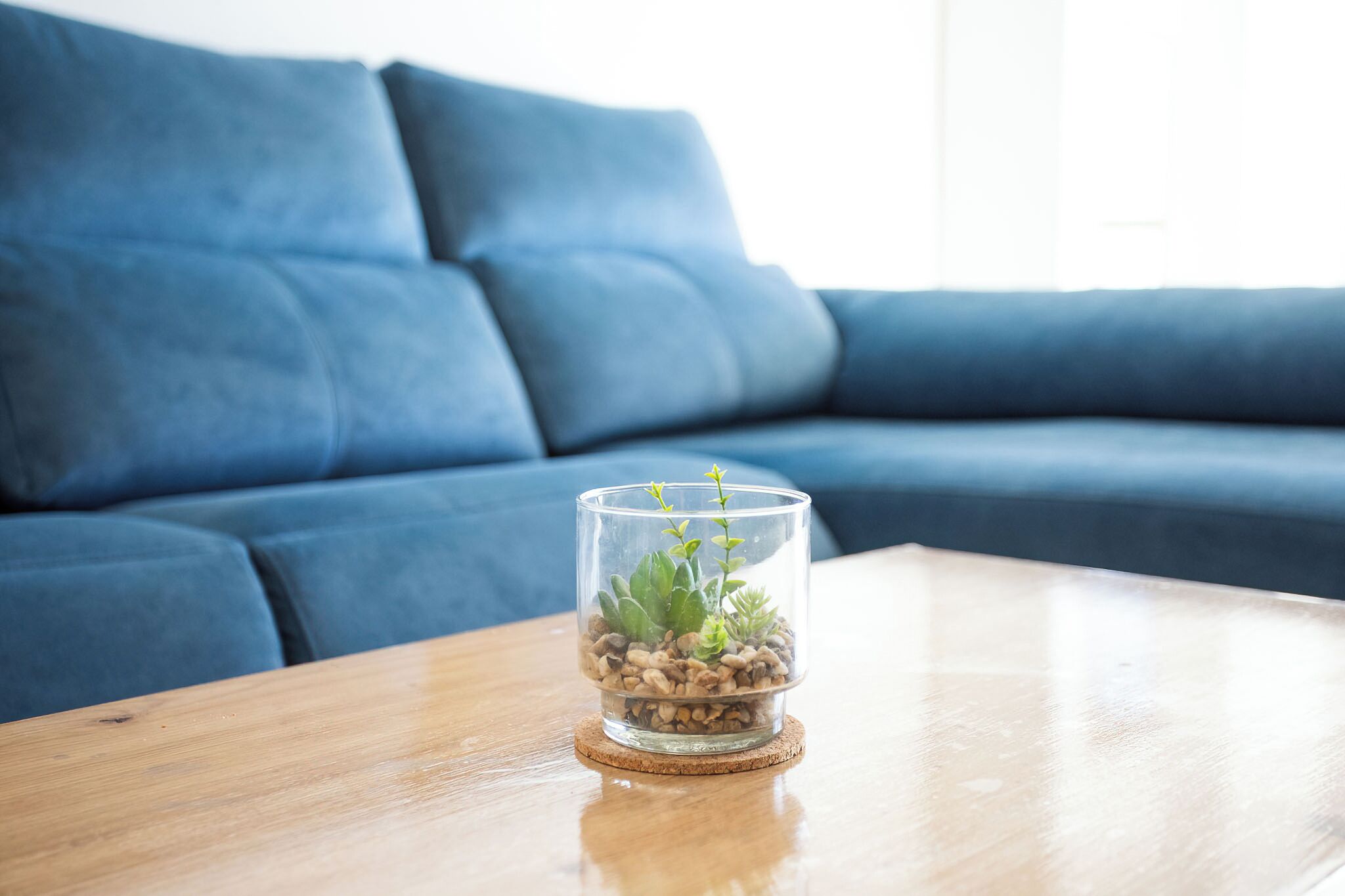 A glass terrarium with succulents on a wooden coaster on a table.