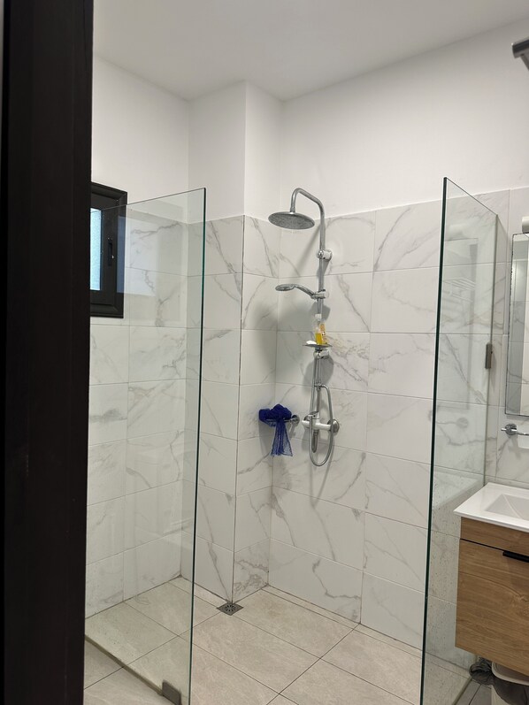 Shower, hair dryer, bidet, towels
