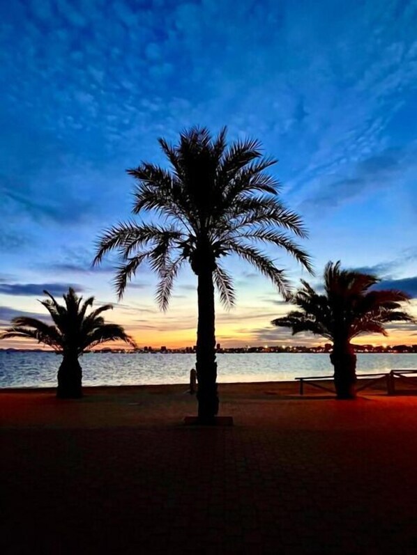 Property grounds - Casa Pajo (San Pedro del Pinatar)