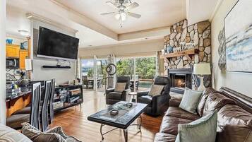 Télévision, cheminée, espaces bureaux