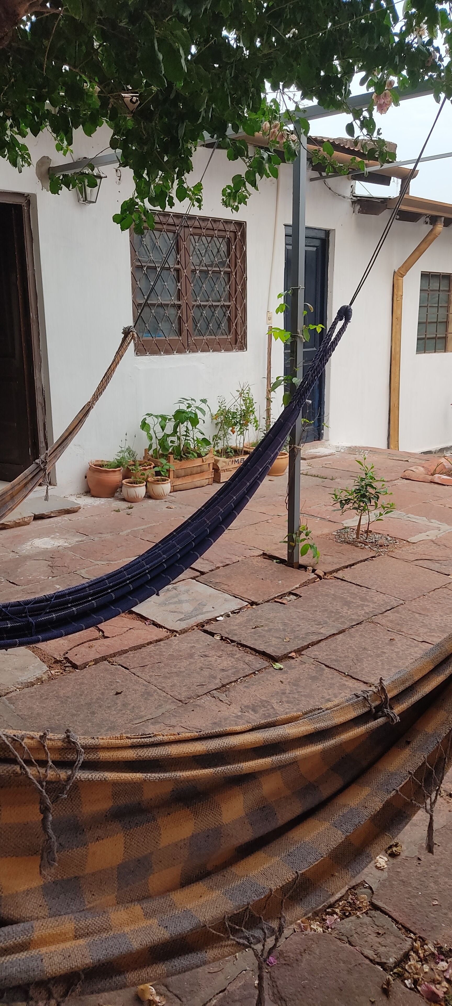 Photo - Mediterraneo Youth Hostel