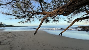 Sun loungers, beach towels