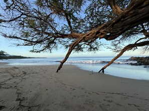 Liegestühle, Strandtücher