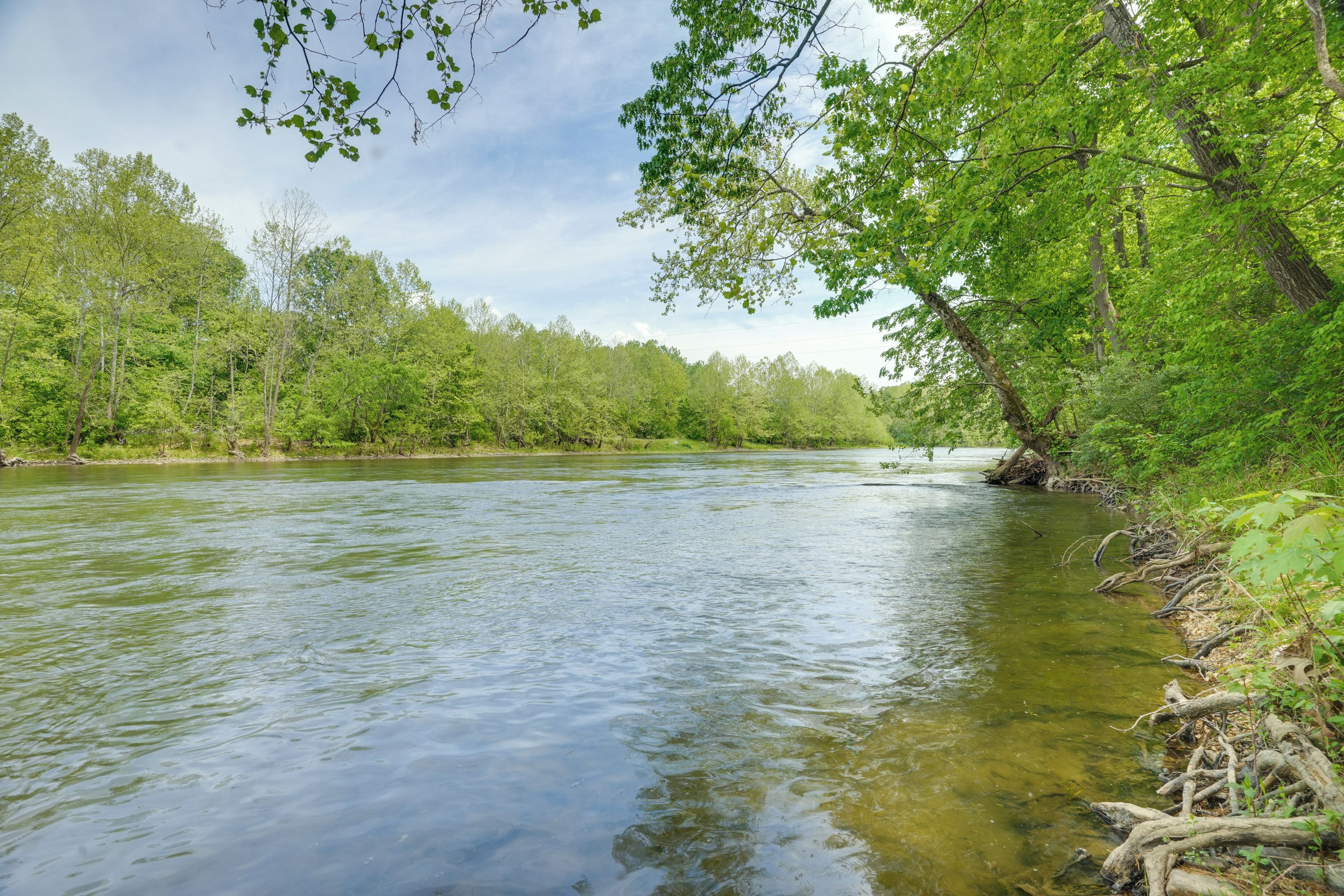 A river surrounded by dense green foliage and trees.