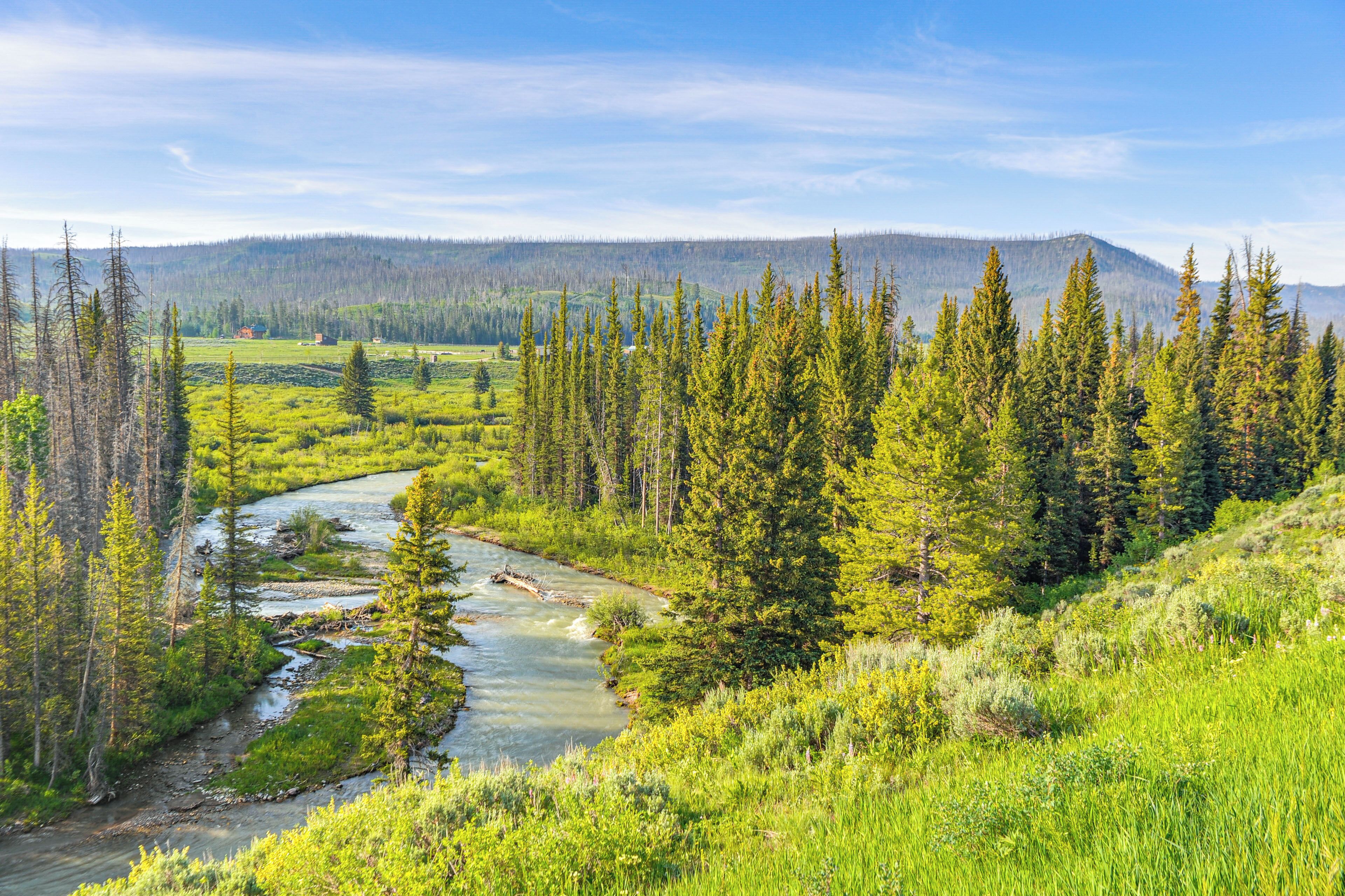 A river flowing through a forested valley with a mountain in the background.