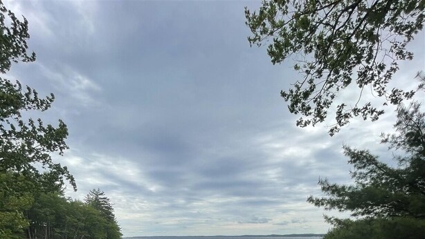 En träbrygga som leder ner till en strand med utsikt över havet och träden.