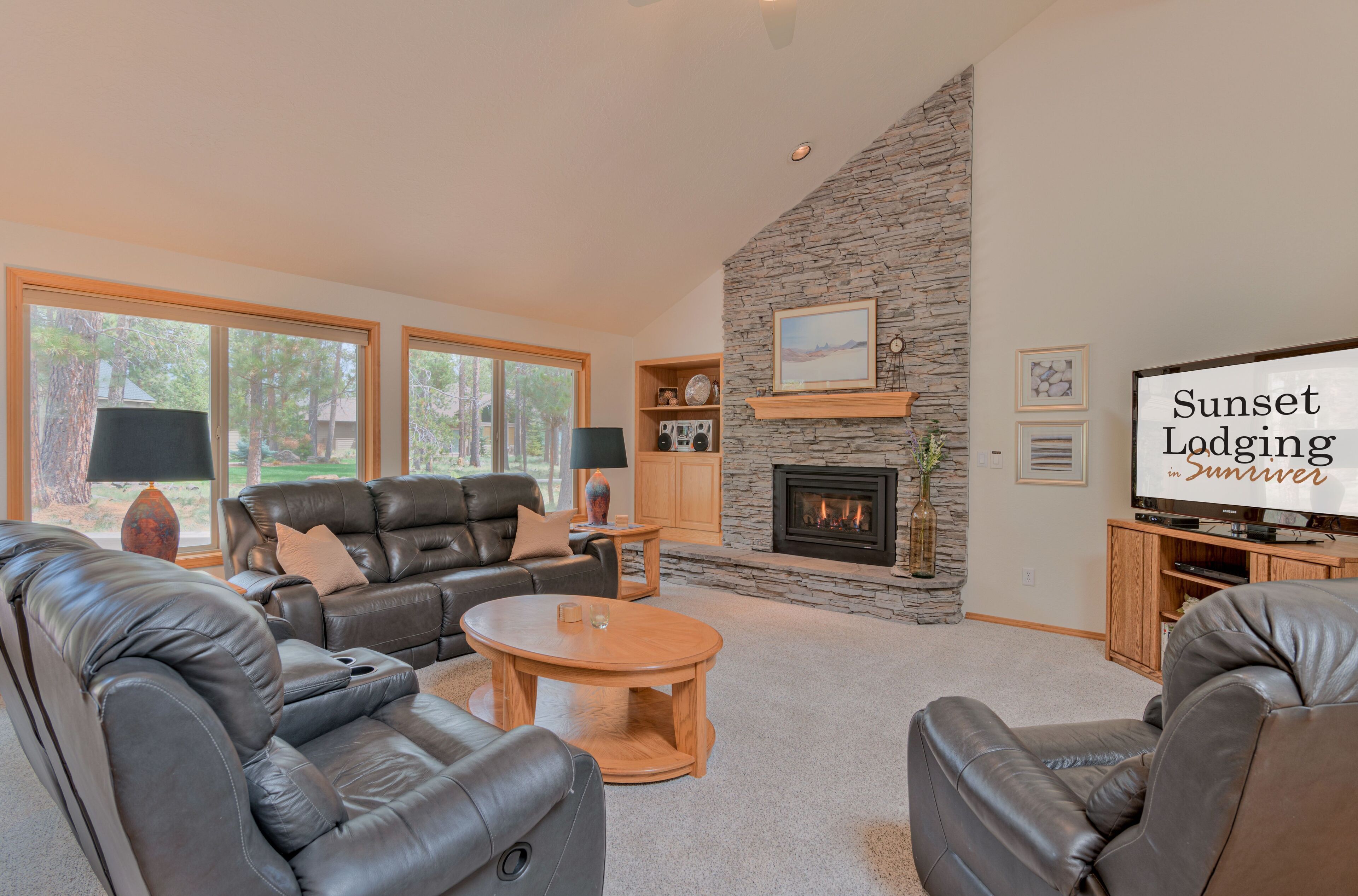 تلفزيون، مدفأة، مشغل دي في دي، ستيريو