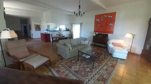 TV, fireplace, DVD player, books