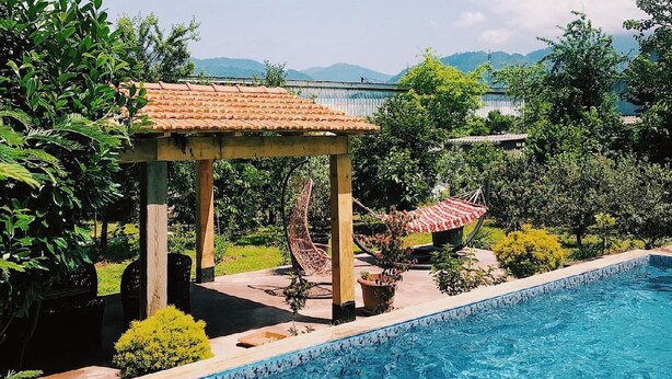 Traditional Double Room, Mountain View | Terrace/patio - hotel garden  (Batumi)