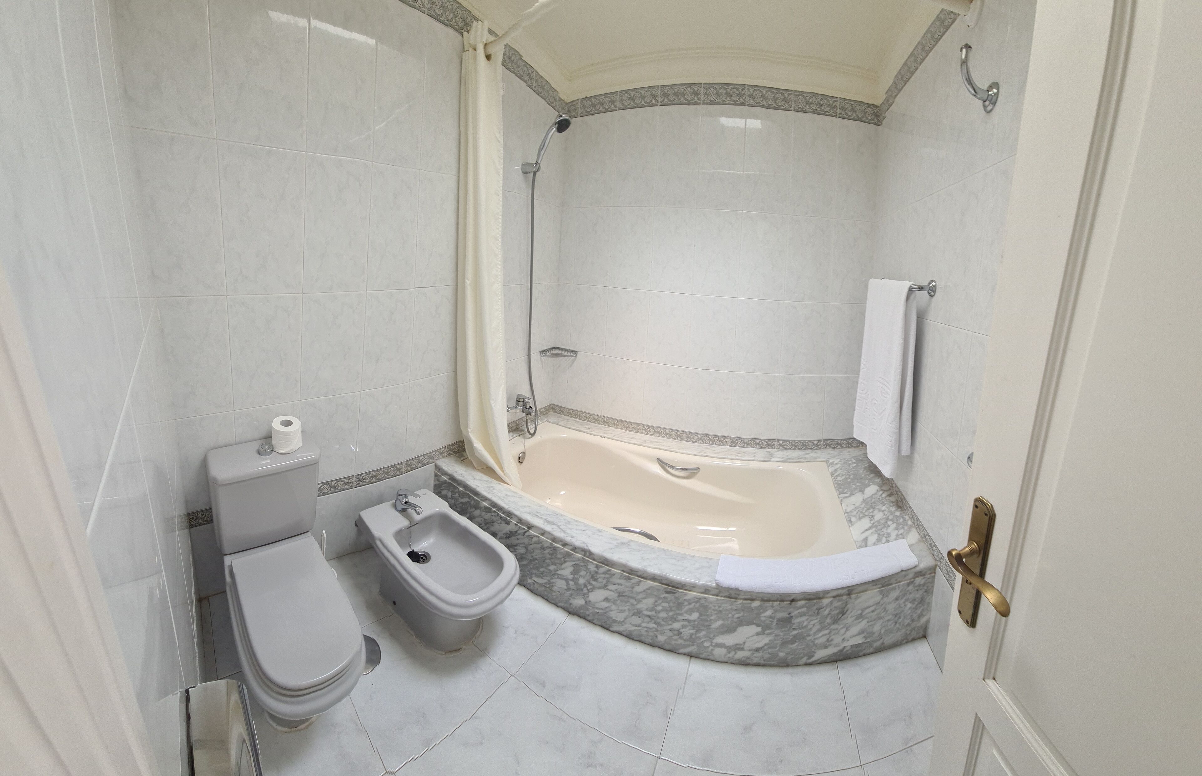 Hair dryer, bidet, towels, toilet paper