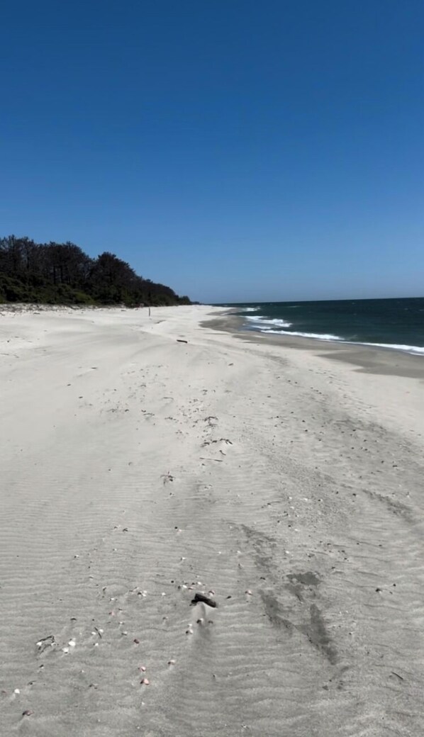 Beach - Maison Contemporaine Entre mer et Montagnes (Antisanti)