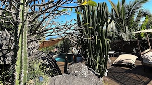 A wooden deck with a rock, a cactus, and a hammock. - Louisette à la Rivière  (La Rivière St Louis)