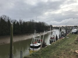 Vista desde la propiedad