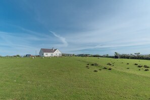 Property grounds - Modern Three Bedroom Holiday Cottage Near Aberdaron | Bryndaron (Rhiw)