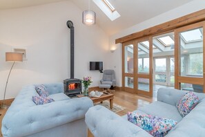 TV connectée, cheminée