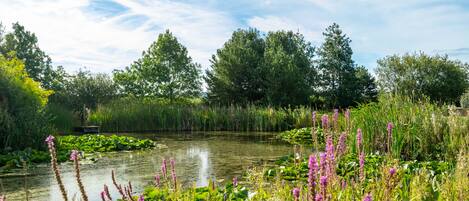 Voorkant van accommodatie
