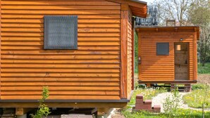 A wooden cabin with a small attached structure, both featuring horizontal wooden planks and a window.