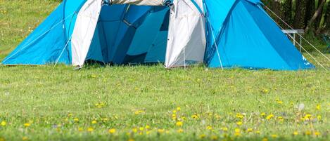 A blue and white tent set up in a grassy field with yellow flowers.