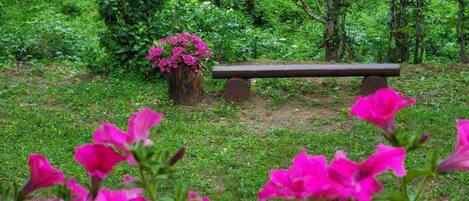 House (Holiday Home with Three Bedrooms and ) | Garden