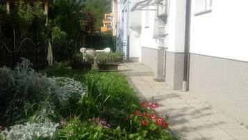 Studio (Studio apartment (Studio with Garden ) | Ngoại thất