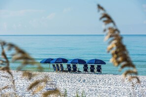 Beach nearby - Golf Cart, Large Private Pool and Hot Tub, Close to 2 Beach Accesses on 30A! (Santa Rosa Beach)