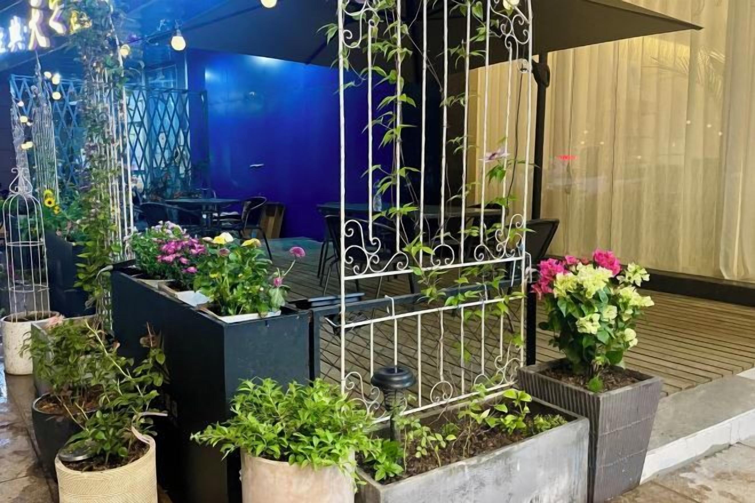 A courtyard with potted plants and a metal fence.