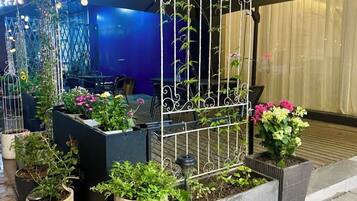 A courtyard with potted plants and a metal fence.