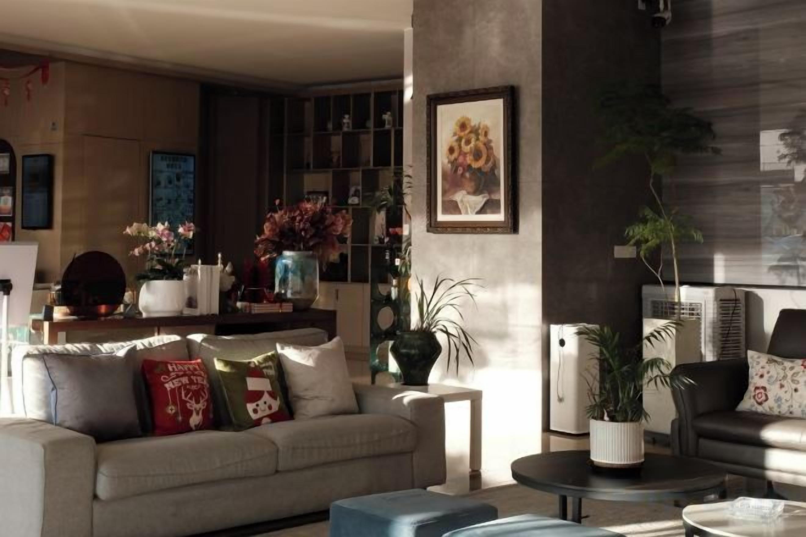 A living room with a sofa, coffee table, and a potted plant. There is a bookshelf with books and decorative items.
