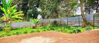 Embark on Adventure: Millance Volunteer Hosting and Safaris Await!