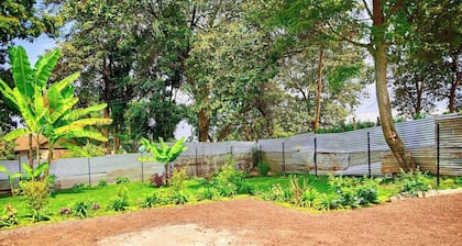 Embark on Adventure: Millance Volunteer Hosting and Safaris Await!