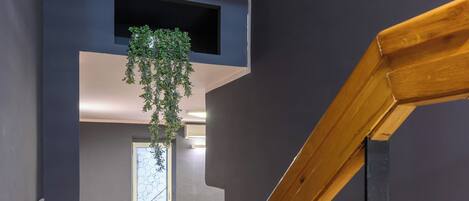 Et moderne interiør med en trappe i træ, en blå sofa og en hængende plante.