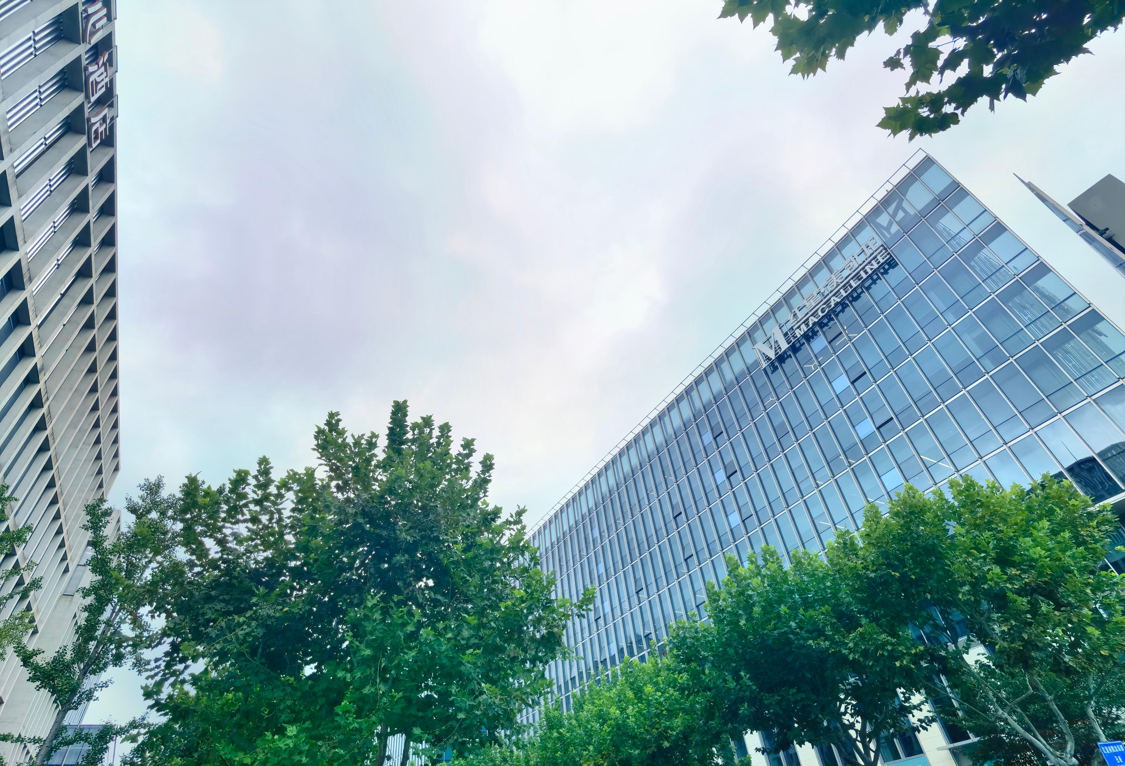 A modern building with a glass facade and a sign that reads "The London."
