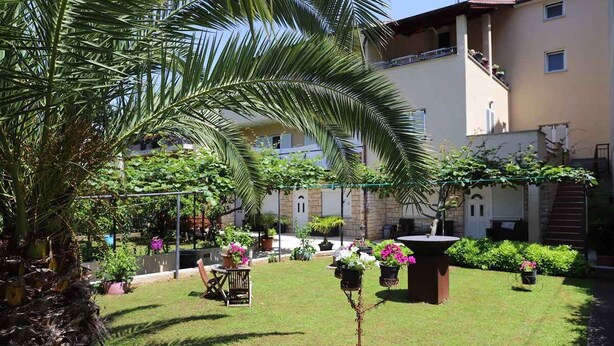 A courtyard with a palm tree, potted plants, and a small table. - Holiday flat with air conditioning (Pula)