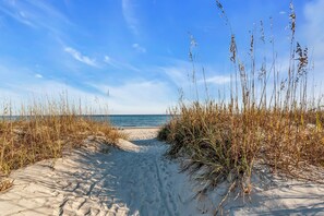 A sandy beach path leading to the ocean with tall grasses on either side.