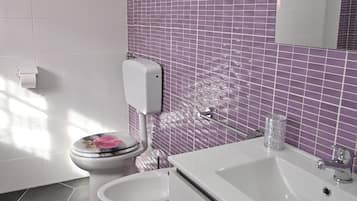 Shower, hair dryer, bidet, towels
