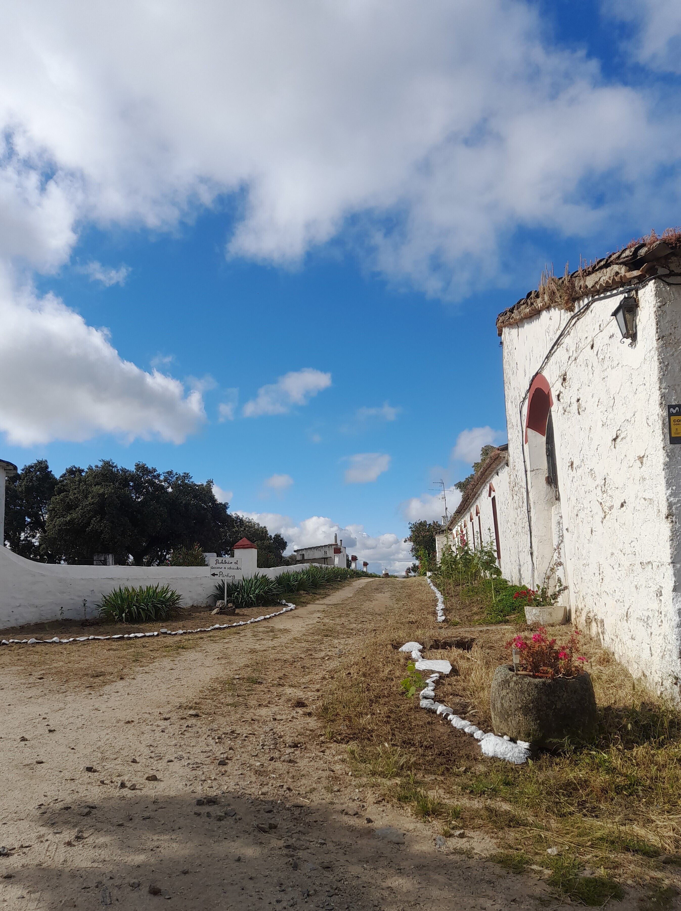 A rural road leading to a white building with a red-tiled roof, surrounded by greenery and a clear sky.