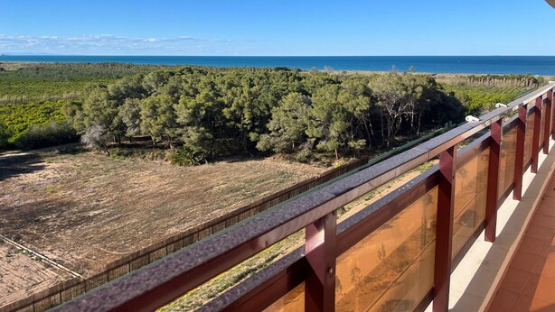 Un balcón con vistas a una zona boscosa y al mar.