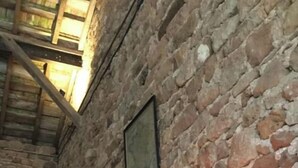 Une pièce rustique aux murs de pierre, avec des poutres en bois au plafond, un meuble en bois et une plante en pot.
