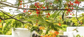 Large deck with views of the Caribbean Sea! Super king beds in luxurious villa.