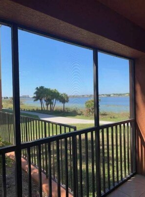 Property grounds - FUN IN THE SUN 5 minutes away from Disneyland!!!!!! (Orlando)