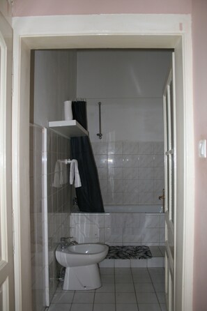 Hair dryer, bidet, towels, soap