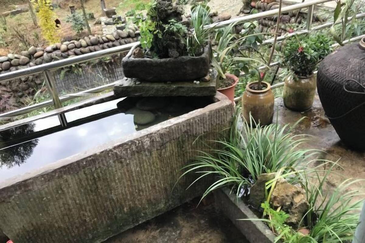 A stone water feature with plants, a stone pathway, and a metal railing.
