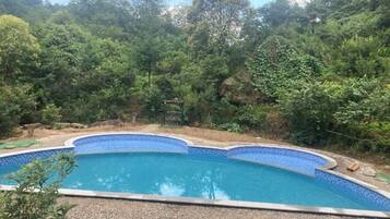 A swimming pool with a curved edge, surrounded by a gravel area and dense greenery.