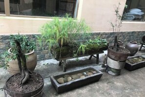 Variedad de plantas en macetas y un banco de piedra en un entorno exterior.