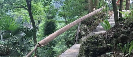 Una escalera de piedra en un área boscosa con barandilla de madera.