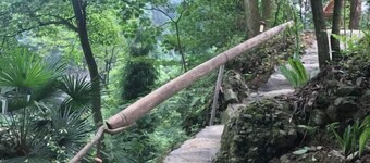 Mount Emei Feng Lin Yue Hotel