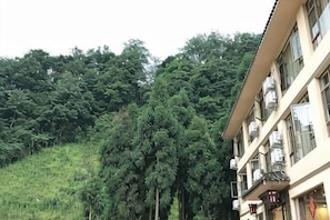 A building with multiple floors, balconies, and a lush green hillside in the background.