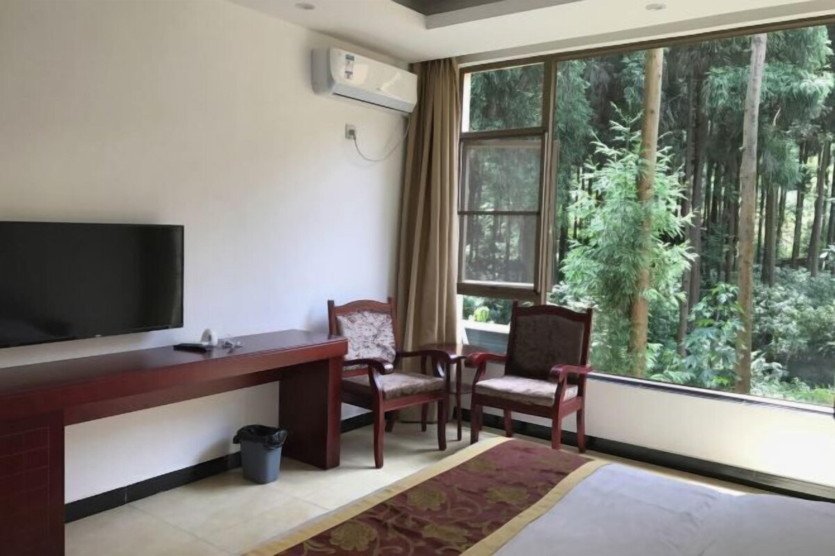 A room with a TV, wooden desk, two chairs, a window with a forest view, and a red patterned rug.