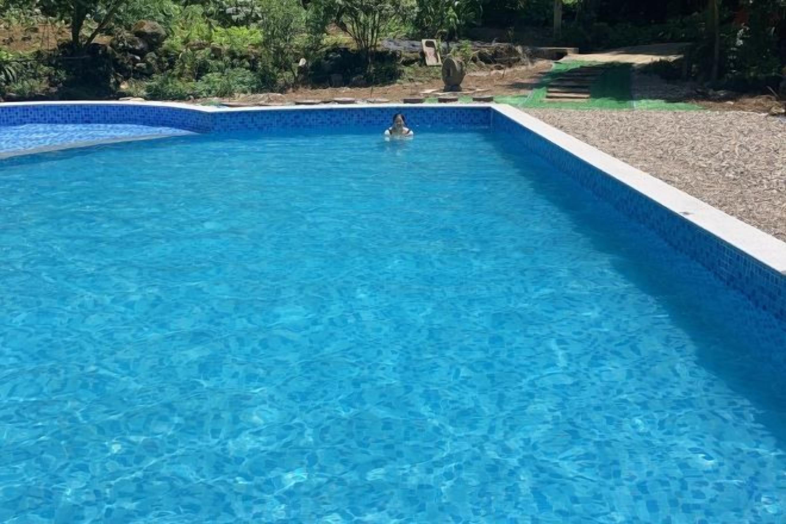 Una piscina rectangular con agua cristalina azul, rodeada por un borde de guijarros y un borde de baldosas.